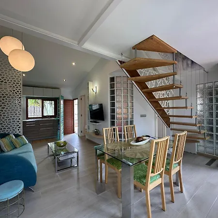 Willa Parrot Cage - The Gay