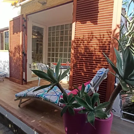 Parrot Cage - The Gay Playa del Inglés