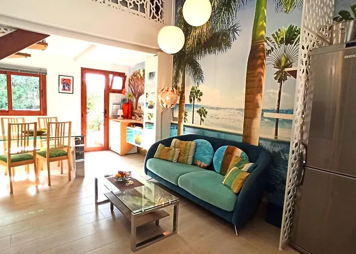 Parrot Cage - The Gay Βίλα